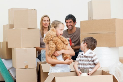 Kennington van service handling boxes and household items