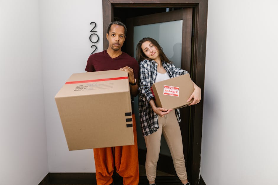 Two movers from Man With a Van Kennington are preparing for house removals inside a well-lit room with white walls and large arched windows. The mover on the left, with an afro hairstyle and a serious