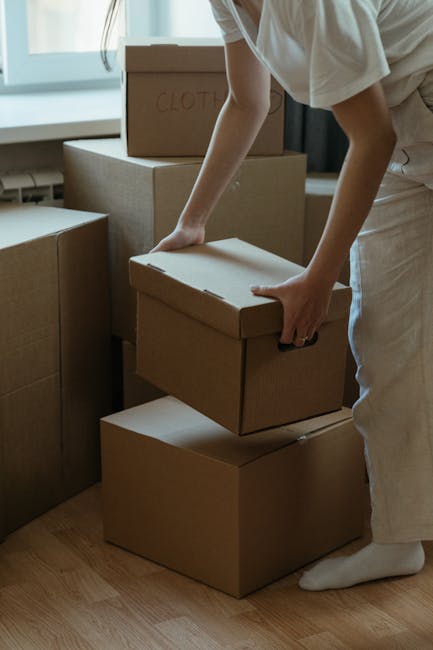 Two movers from Man With a Van Kennington are inside a bright, well-lit room with white walls and large arched windows, engaged in a home relocation process. The first mover, an African American man w